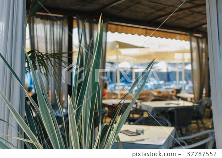 Beach cafe in a summer sunny day near the old town of Budva, Montenegro. Beach cafe in a summer sunny day near the old town of Budva, Montenegro. 137787552