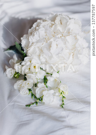 Beautiful white Freesia and Hydrangea flowers on a white background in a morning sunlight. Beautiful white Freesia and Hydrangea flowers on a white background in a morning sunlight. 137787597