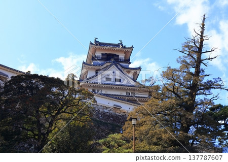 【高知縣】冬季的高知城（現存天守閣） 137787607