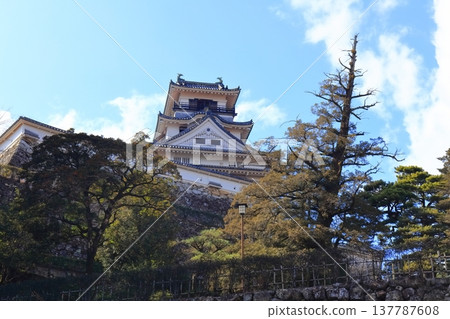 【高知縣】冬季的高知城（現存天守閣） 137787608