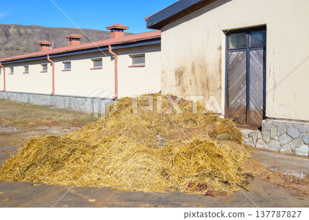Hay pile beside farm building in rural countryside Hay pile beside farm building in rural countryside 137787827