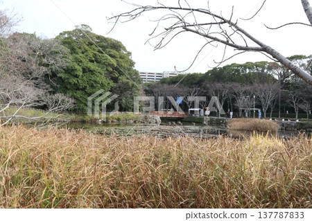 2024年,福岡,福岡市,風景,中央區,城內,福岡城遺址,第108部分 2024年,福岡,福岡市,風景,中央區,城內,福岡城遺址,第108部分 137787833