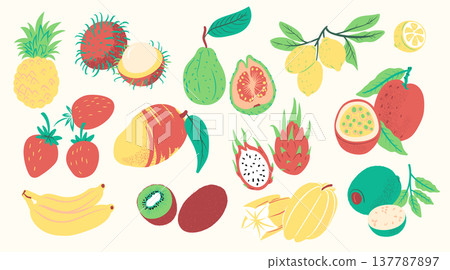 Fruit Collection Hand Drawn Set 137787897