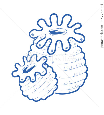 Sea Urchin Cross Section Sketch 137788001