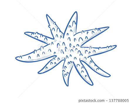 Starfish Sketch Hand Drawn Starfish Sketch Hand Drawn 137788005