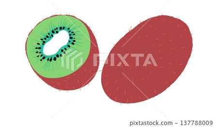Kiwi Half And Whole Hand Drawn Kiwi Half And Whole Hand Drawn 137788009