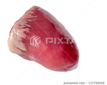 Poultry heart raw fresh organ meat protein isolated white butcher cut 137788098
