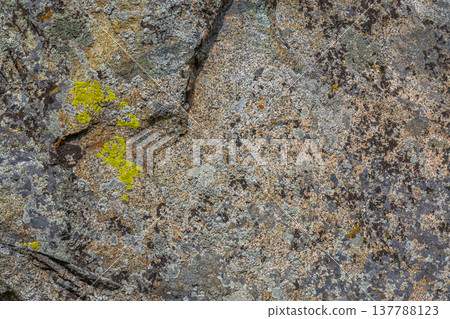 Rough textured rock covered with lichen in natural setting 137788123