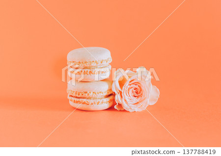 Tasty french macarons with tender rose flowers on a orange pastel background. Tasty french macarons with tender rose flowers on a orange pastel background. 137788419