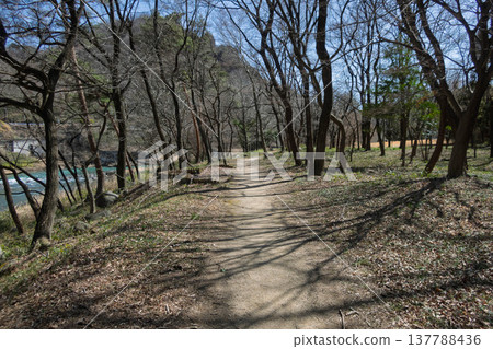 阿祖瑪海濱公園的早春步道 137788436