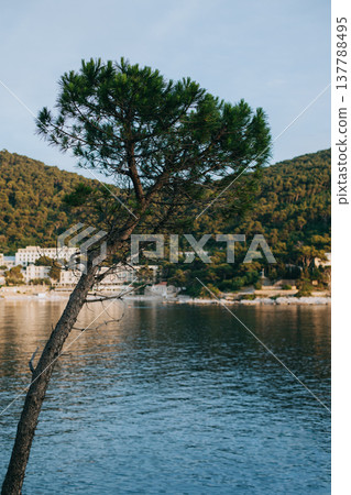 Amazing view of Dubrovnik city, Croatia. Beautiful sunny day. Amazing view of Dubrovnik city, Croatia. Beautiful sunny day. 137788495