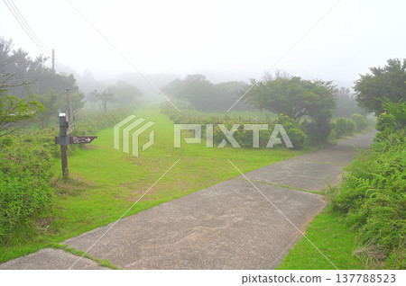 Izu Peninsula - Izu Mountain Ridge Trail in the Mountain Mist - Junction between Mt. Kinkanzan and Toda Pass 137788523