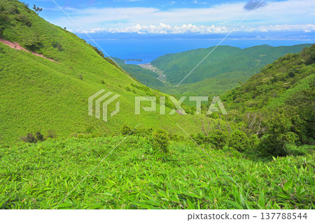 伊豆半島:從西伊豆天際線上的戶田停車場眺望戶田魚港和駿河灣 伊豆半島:從西伊豆天際線上的戶田停車場眺望戶田魚港和駿河灣 137788544