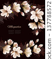Abstract spring background with beautiful magnolia branches. Vector. 137788572