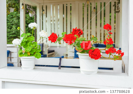 Outdoor cafe terrace with colorful decorative flowers in pots, cozy summer restaurant seating area Outdoor cafe terrace with colorful decorative flowers in pots, cozy summer restaurant seating area 137788628