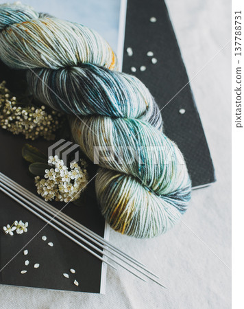 Skein of wool yarn and knitting needles for hand knitting. Concept for handmade. Skein of wool yarn and knitting needles for hand knitting. Concept for handmade. 137788731