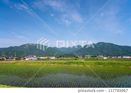 鈴鹿山腳下的鄉村地區（三重縣四日市水澤町） 137789867