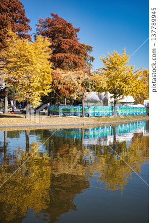 Trees with autumn leaves (Mizumoto Park, Katsushika Ward) 137789945