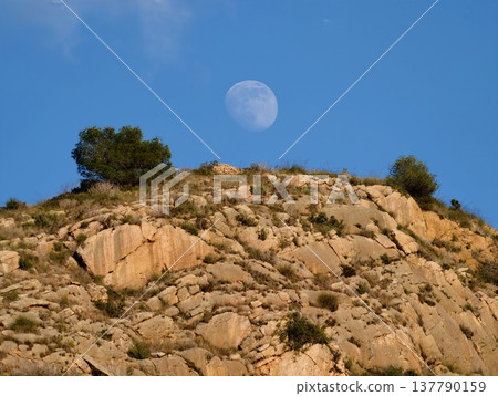 Bright Moon Ascends Above Rocky Landscape, Morning Moon Ascends Over Craggy Hills With Sparse Trees 137790159