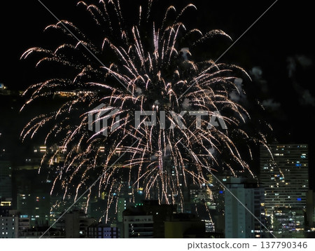 City Lights Reflect Blooming Flowers, Night Sky Illuminated By Mirrored Floral Patterns Over City Grid City Lights Reflect Blooming Flowers, Night Sky Illuminated By Mirrored Floral Patterns Over City Grid 137790346