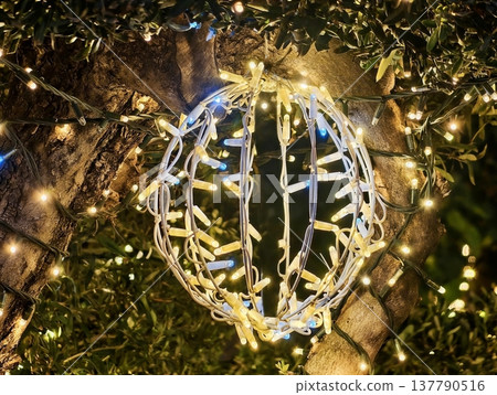 Elegant Garden Glow, Stylish Light Loop Encircling Branch Creates Festive Outdoor Illumination Display 137790516
