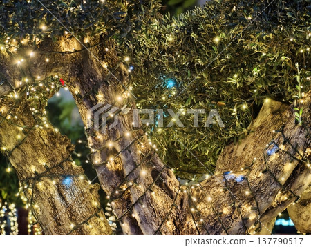 Enchanted Park Ambiance With Elaborate Light Arrangements And Shimmering Decorative Features Enchanted Park Ambiance With Elaborate Light Arrangements And Shimmering Decorative Features 137790517