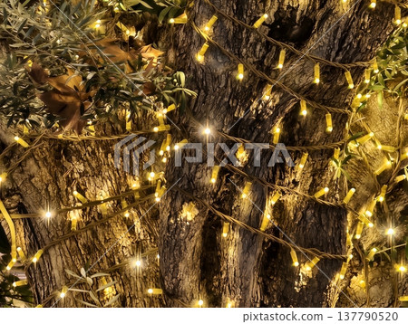 Detailed Photography Capturing Warm Lighting Accents On Rustic Wood Surfaces With Deep Contrast Detailed Photography Capturing Warm Lighting Accents On Rustic Wood Surfaces With Deep Contrast 137790520