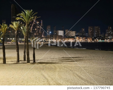 Bright City Shoreline, Vast Lit Shoreline Featuring Distant City Illumination And Shimmering Water 137790745