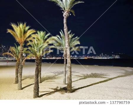 Beach At Night, Quiet Beach Scene Illuminated By Moonlight With Distant City Skyline And Soft Waves Beach At Night, Quiet Beach Scene Illuminated By Moonlight With Distant City Skyline And Soft Waves 137790759
