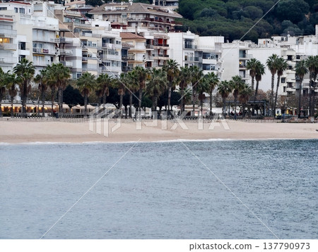 Coastal Serene Scenery, Quiet Shoreline With Palm Trees And Calm Turquoise Ocean Surroundings Coastal Serene Scenery, Quiet Shoreline With Palm Trees And Calm Turquoise Ocean Surroundings 137790973