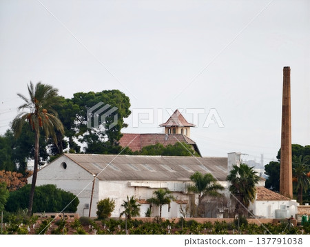 Historic Manor With Palms, Ancient Estate Featuring Silhouettes And Weathered Courtyard Walls 137791038