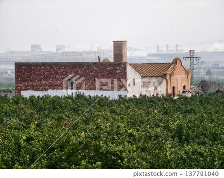 Rural Tranquil Vista, Peaceful Agricultural Landscape Showcasing Abundant Harvests And Natural Beauty Rural Tranquil Vista, Peaceful Agricultural Landscape Showcasing Abundant Harvests And Natural Beauty 137791040