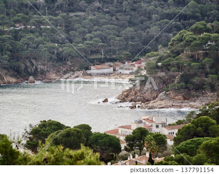 Tranquil Coastal Village Set Within Pine Valleys Featuring Tiered Houses And Lush Green Surroundings Tranquil Coastal Village Set Within Pine Valleys Featuring Tiered Houses And Lush Green Surroundings 137791154