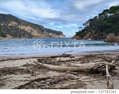 Photographer Explores Rugged Shoreline Featuring Driftwood And Soft Cloud Cover For Captivating Images Photographer Explores Rugged Shoreline Featuring Driftwood And Soft Cloud Cover For Captivating Images 137791163