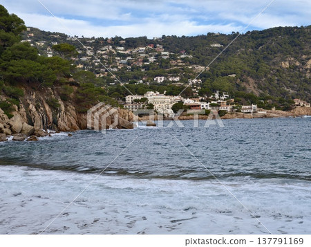 Tranquil Coast With Rocks And Seaweed, Calm Shoreline Featuring Textured Stones And Plant Life Tranquil Coast With Rocks And Seaweed, Calm Shoreline Featuring Textured Stones And Plant Life 137791169