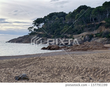 Tranquil Coast With Peaceful Ambiance, Calm Shoreline Beneath Overcast Sky With Natural Elements 137791199