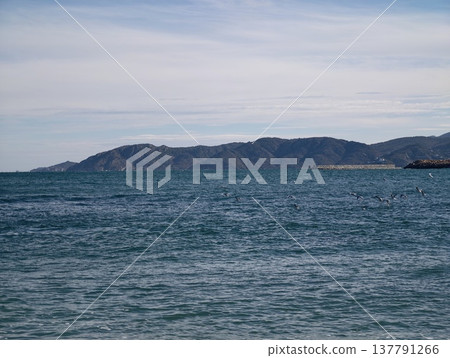Serene Secluded Cove Surrounded By Nature, Peaceful Rocky Inlet Beneath Sunlit Cliffs And Trees 137791266
