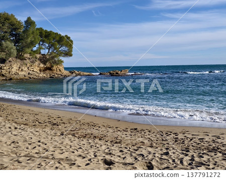 Serene Coast With Soft Waves, Solitary Sandy Inlet Featuring Lush Pines And Calming Ocean Sounds Serene Coast With Soft Waves, Solitary Sandy Inlet Featuring Lush Pines And Calming Ocean Sounds 137791272