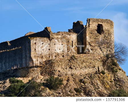 Detailed Image Capturing Aging Stonework With Weathered Surface And Biological Elements Visible 137791306