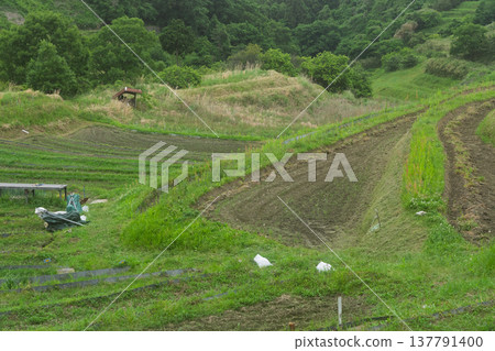 A photograph of terraced rice fields in Shimoakasaka, Chihayaakasaka Village, Osaka Prefecture, taken before rice planting. 137791400