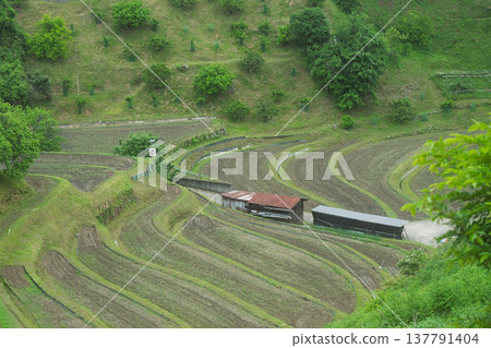 A photograph of terraced rice fields in Shimoakasaka, Chihayaakasaka Village, Osaka Prefecture, taken before rice planting. A photograph of terraced rice fields in Shimoakasaka, Chihayaakasaka Village, Osaka Prefecture, taken before rice planting. 137791404