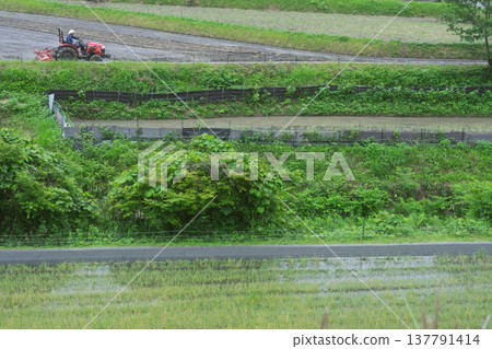 A photograph of terraced rice fields in Shimoakasaka, Chihayaakasaka Village, Osaka Prefecture, taken before rice planting. A photograph of terraced rice fields in Shimoakasaka, Chihayaakasaka Village, Osaka Prefecture, taken before rice planting. 137791414