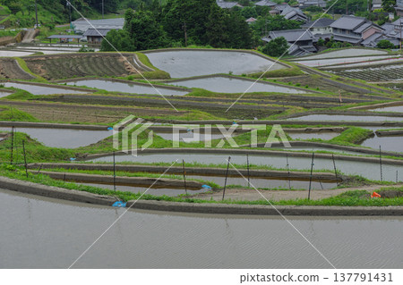 這是在大阪府千早赤坂村下赤坂拍攝的梯田照片,拍攝於水稻插秧之前。 這是在大阪府千早赤坂村下赤坂拍攝的梯田照片,拍攝於水稻插秧之前。 137791431