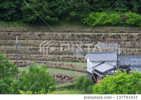 這是在大阪府千早赤坂村下赤坂拍攝的梯田照片，拍攝於水稻插秧之前。 137791433