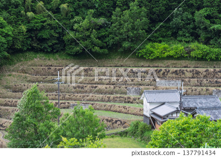 A photograph of terraced rice fields in Shimoakasaka, Chihayaakasaka Village, Osaka Prefecture, taken before rice planting. A photograph of terraced rice fields in Shimoakasaka, Chihayaakasaka Village, Osaka Prefecture, taken before rice planting. 137791434