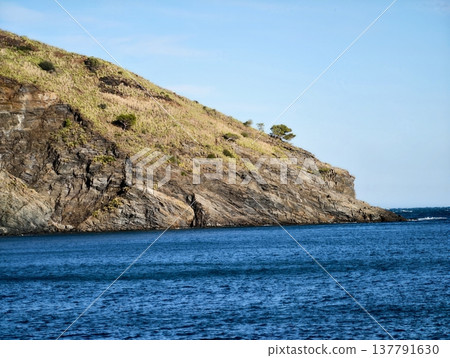 Quiet Natural Vista, Serene Seaside Cliff Scenery, Peaceful Headland With Solitary Tree Overlooking Water Quiet Natural Vista, Serene Seaside Cliff Scenery, Peaceful Headland With Solitary Tree Overlooking Water 137791630
