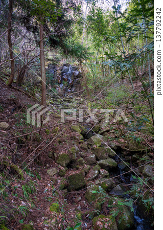 The beautiful scenery of Jōsei Falls in Miyoshi City, Hiroshima Prefecture, Japan 137792242