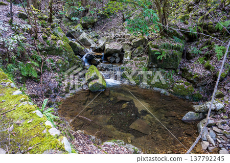 The beautiful scenery of Jōsei Falls in Miyoshi City, Hiroshima Prefecture, Japan 137792245