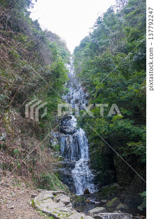 日本廣島縣三好市定石瀑布的秀麗景色 137792247