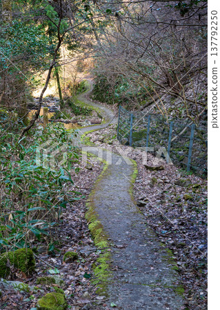 The beautiful scenery of Jōsei Falls in Miyoshi City, Hiroshima Prefecture, Japan 137792250